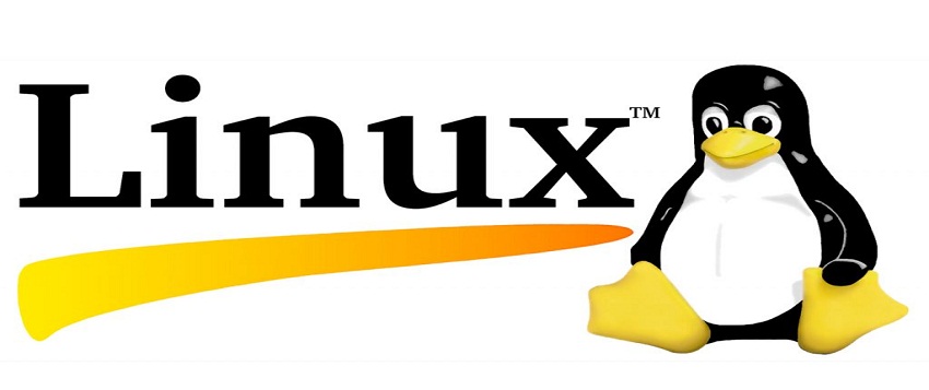 10 توزیع عجیب لینوکس